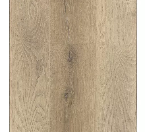SPC ламинат FirstFloor Канадский натуральный дуб 1F025