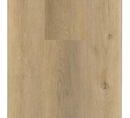 SPC ламинат FirstFloor Молочный дуб сканди 1F016