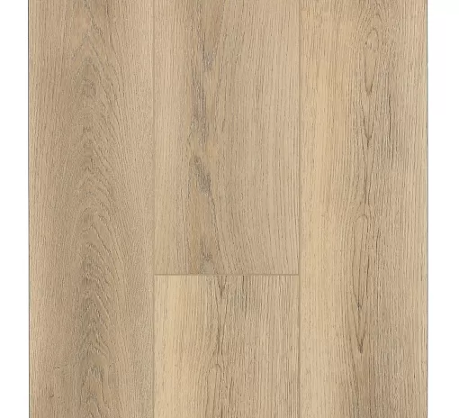SPC ламинат FirstFloor Белый дикий лес 1F001