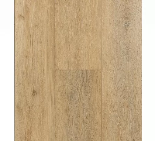 SPC ламинат FirstFloor Сканди дуб чайный 1F019